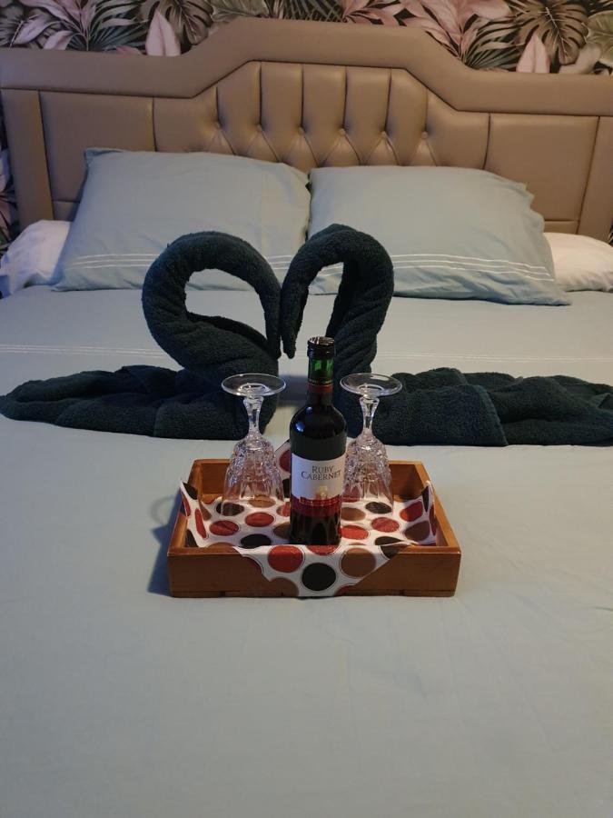 Guesthouse Deladix 哈瑟尔特 外观 照片